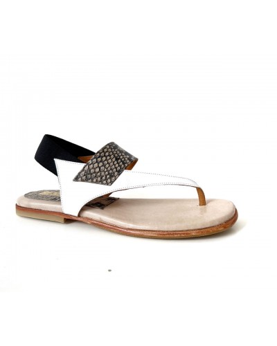 Lime Key Croco