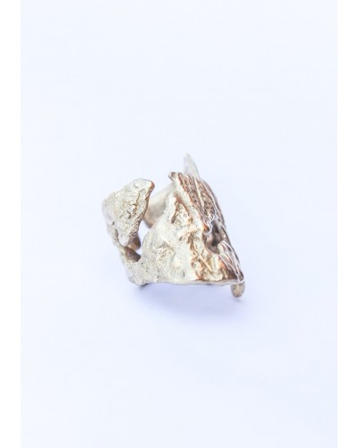Anillo La Puna