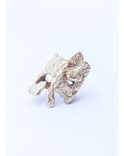 Anillo La Puna