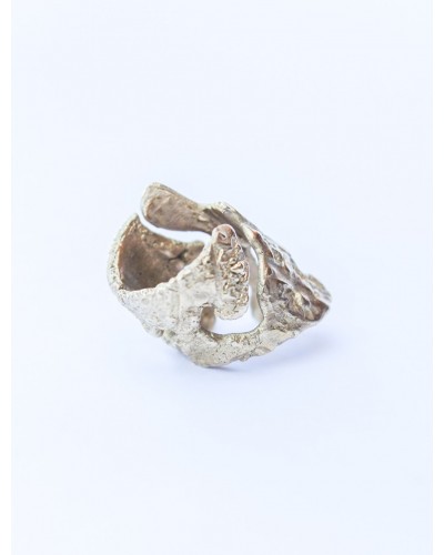 Anillo La Puna